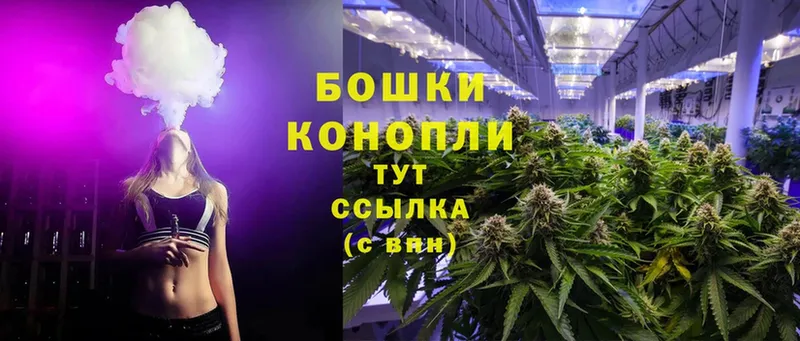 Бошки марихуана White Widow  Мытищи 